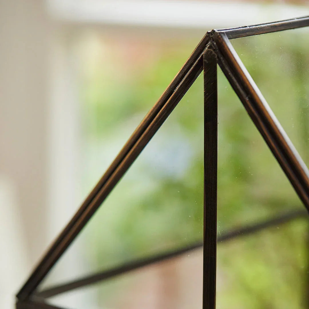 Hochwertiges Anzucht- und Gewächshaus