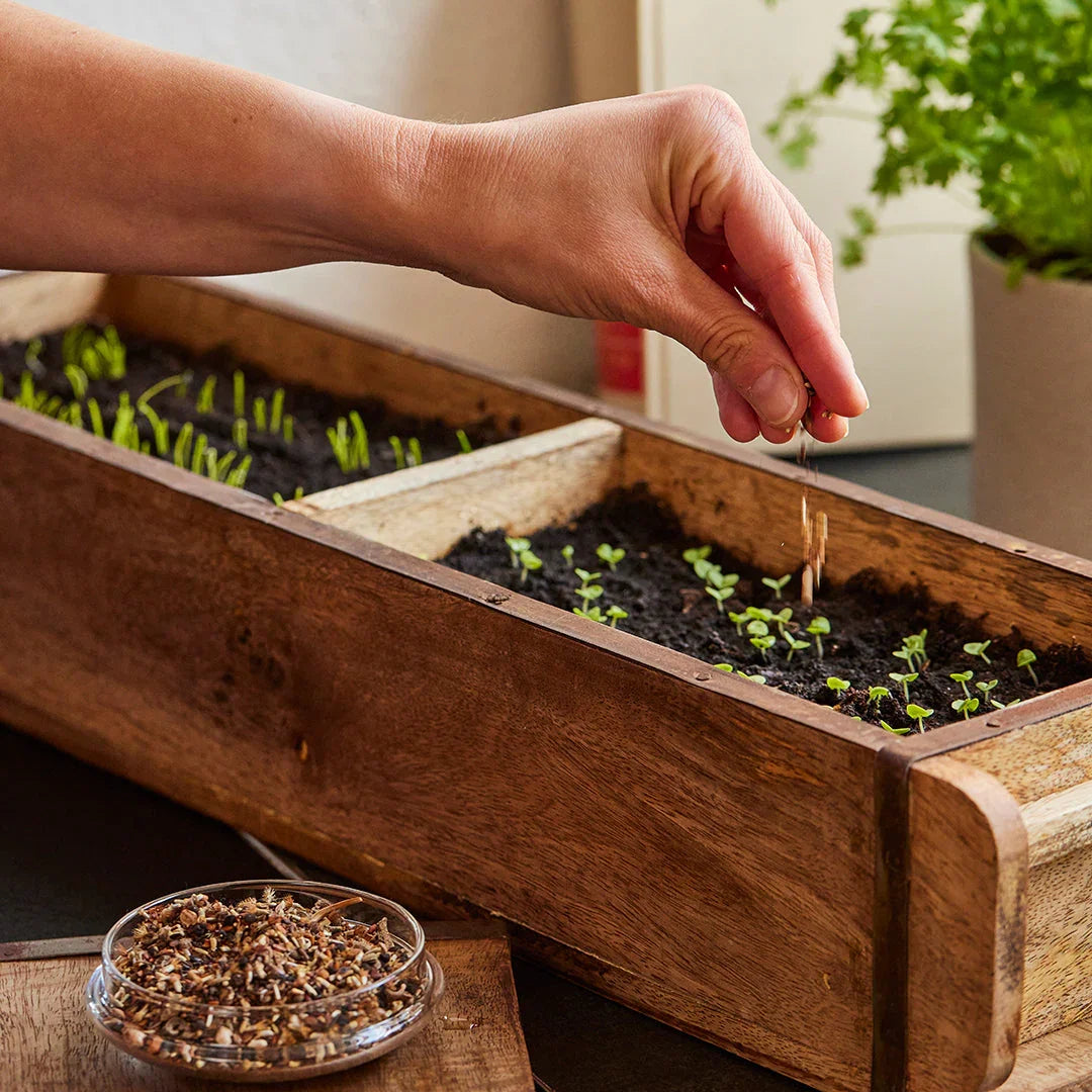 Lange Ziegelform mit 2 Fächern