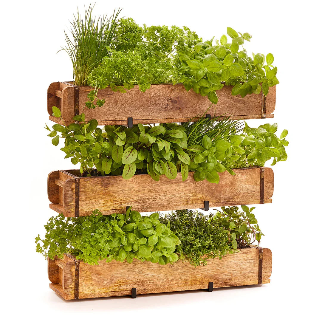 Set: 3 Ziegelformen (2 Fächer) mit Ständer