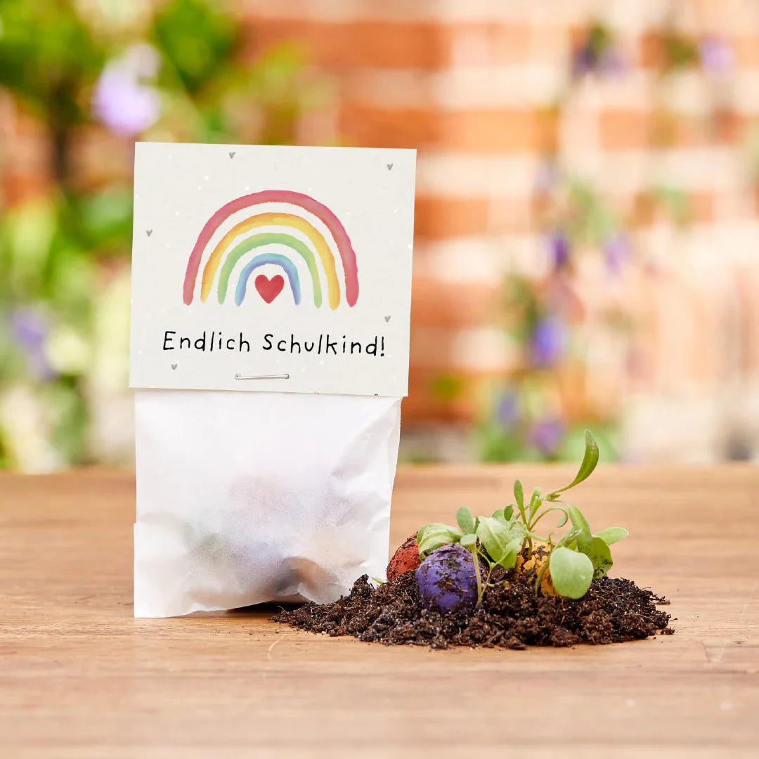 5 Blumenmurmeln im Tütchen zur Einschulung 