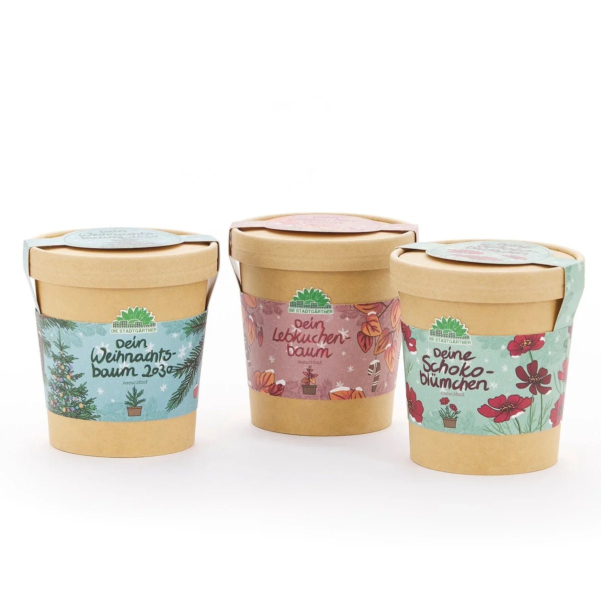 Festliches Anzucht-Set – 3 weihnachtliche Sorten