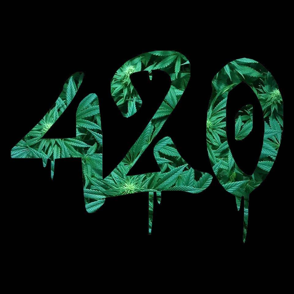 420 T-Shirt (schwarz / unisex)