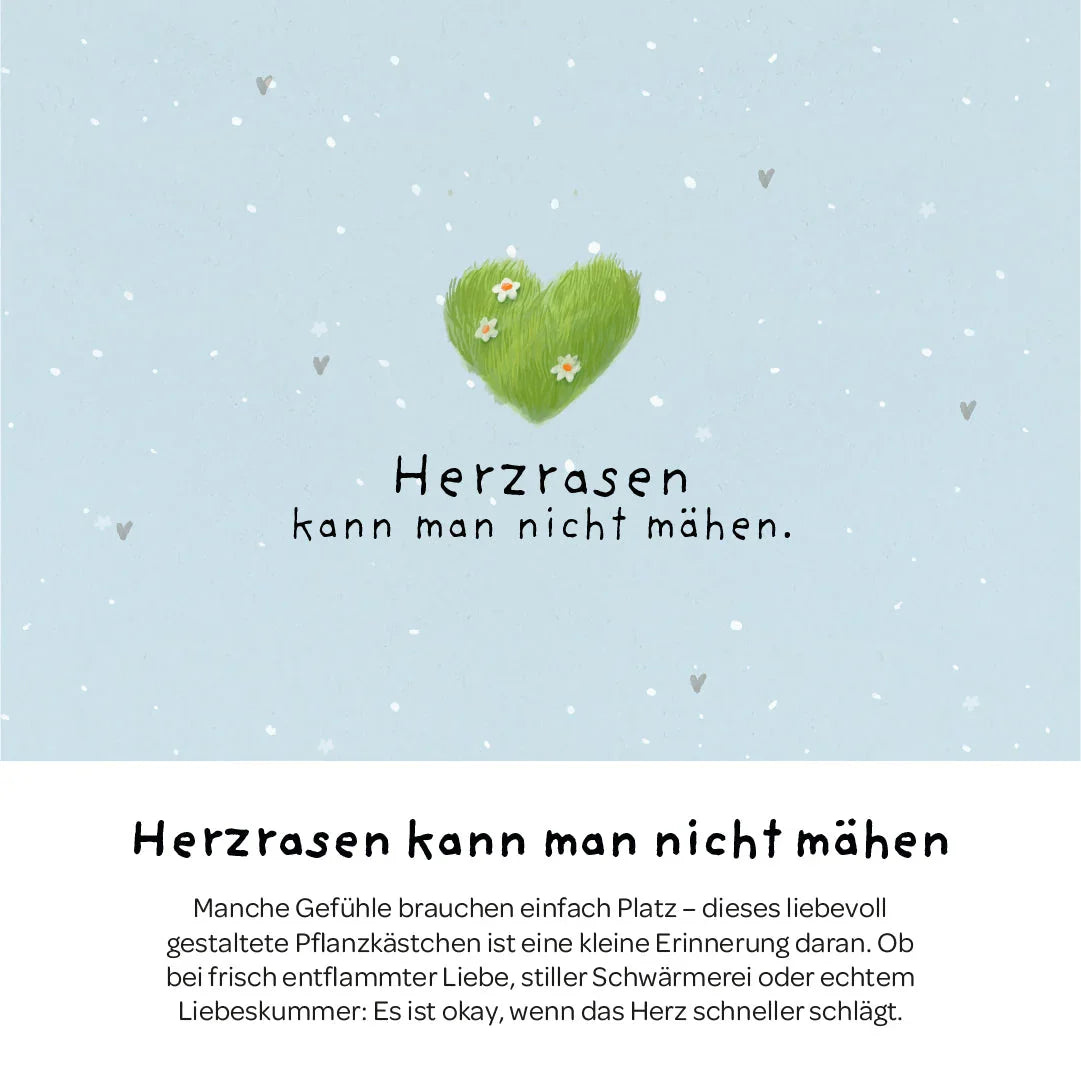 Pflanzkästchen - Herzrasen
