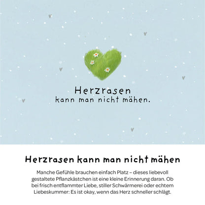 Pflanzkästchen - Herzrasen