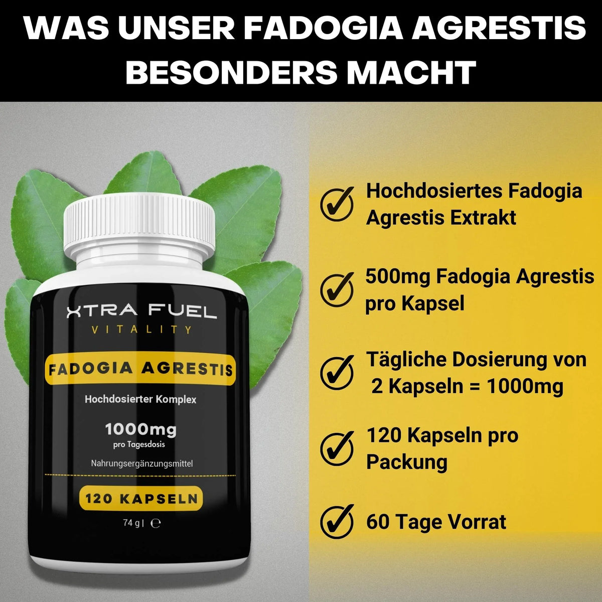 Fadogia Agrestis Kapseln - 1000mg Fadogia Extrakt - 100% natürlich & zertifiziert - BLACK ELIXIR - Maison de Parfum