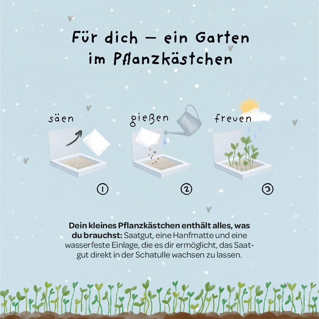 Pflanzkästchen - Herzrasen