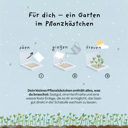 Pflanzkästchen - Herzrasen