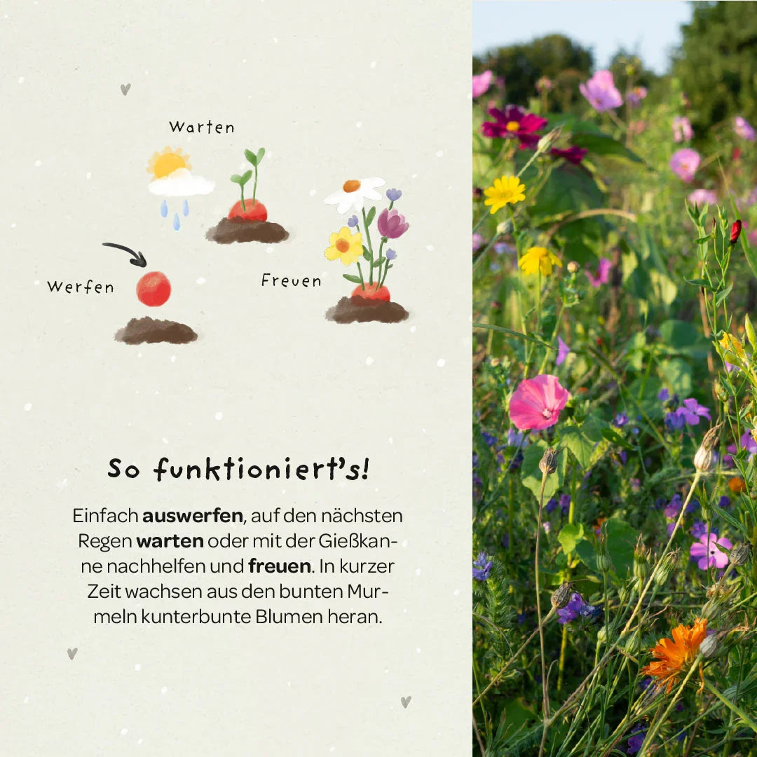 5 Blumenmurmeln im Tütchen zur Einschulung 