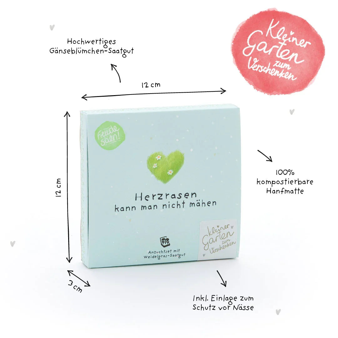 Pflanzkästchen - Herzrasen