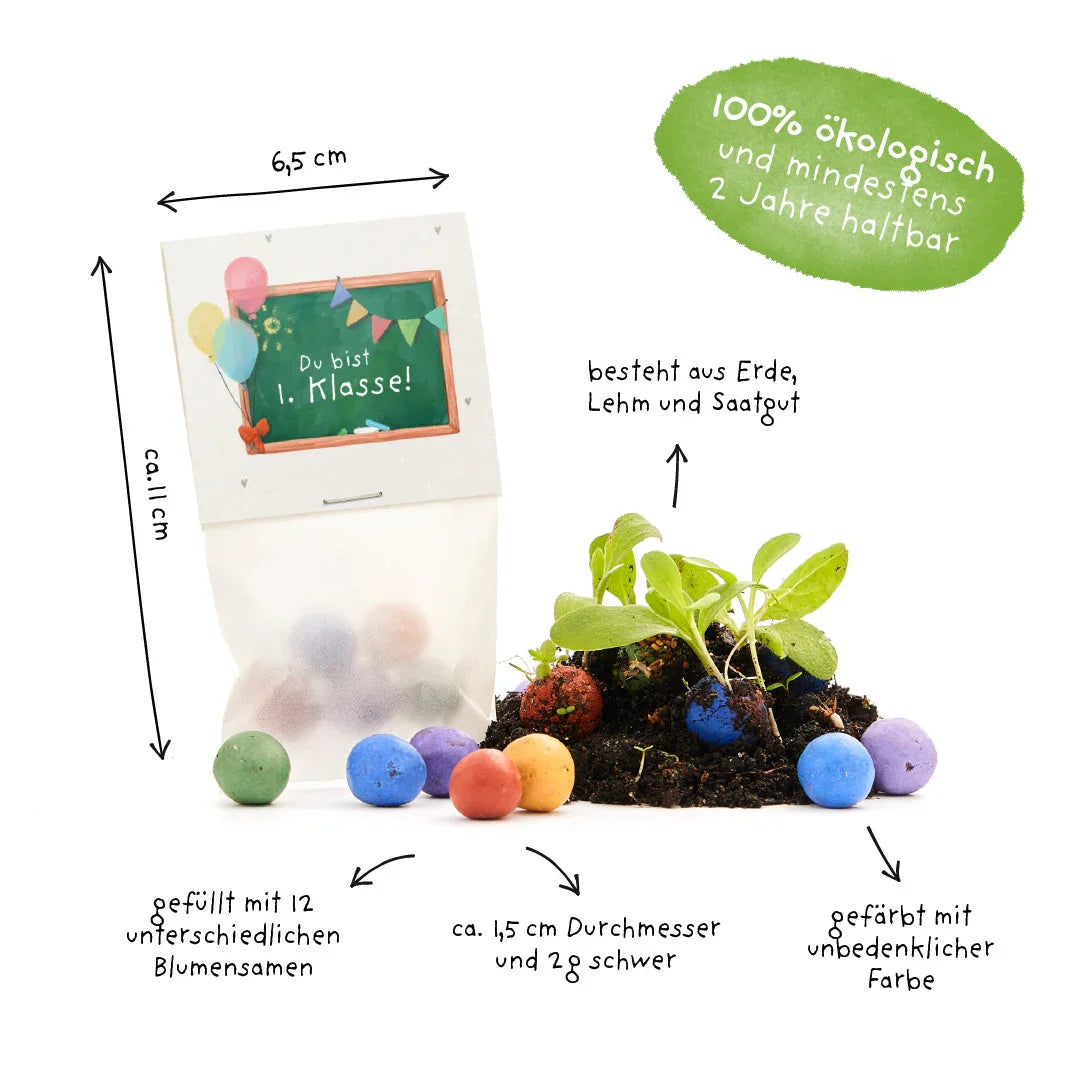 5 Blumenmurmeln im Tütchen zur Einschulung "Du bist 1. Klasse"