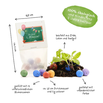 5 Blumenmurmeln im Tütchen zur Einschulung "Du bist 1. Klasse"