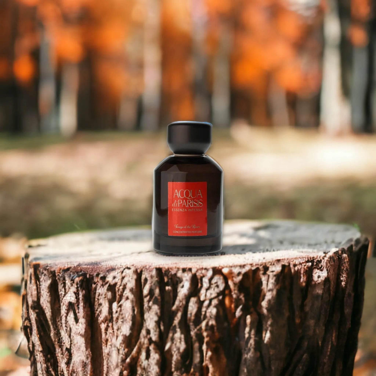Reyane Tradition Acqua di Parisis Essenza Intensa Tango of the Roses Eau de Parfum - BLACK ELIXIR - Maison de Parfum