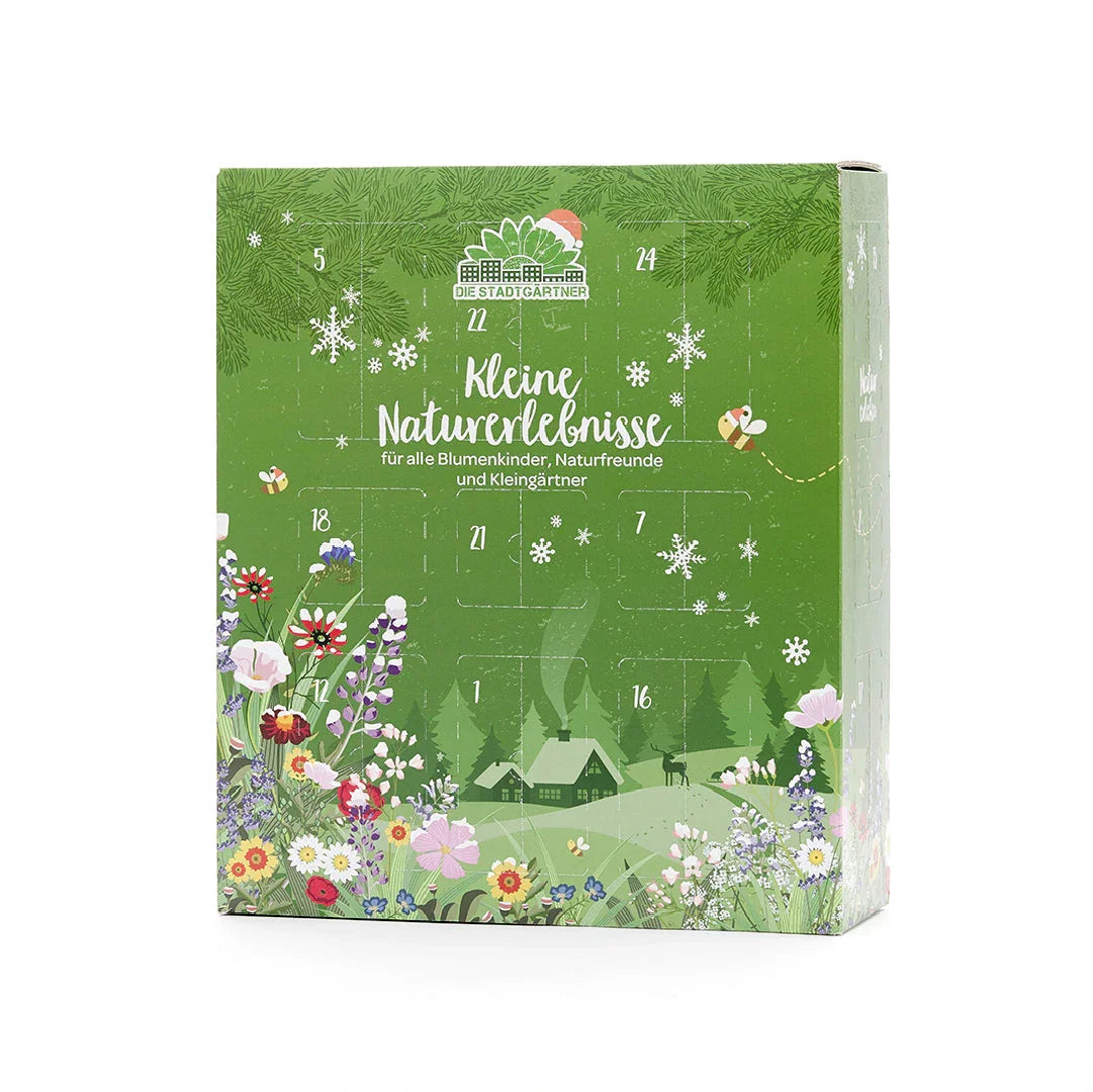 Adventskalender 2025 