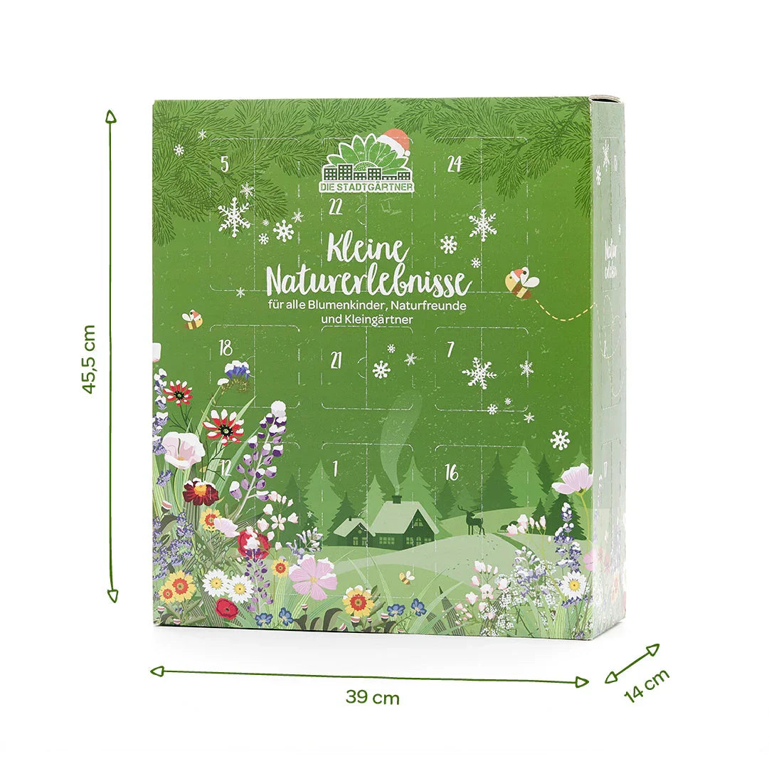 Adventskalender 2025 