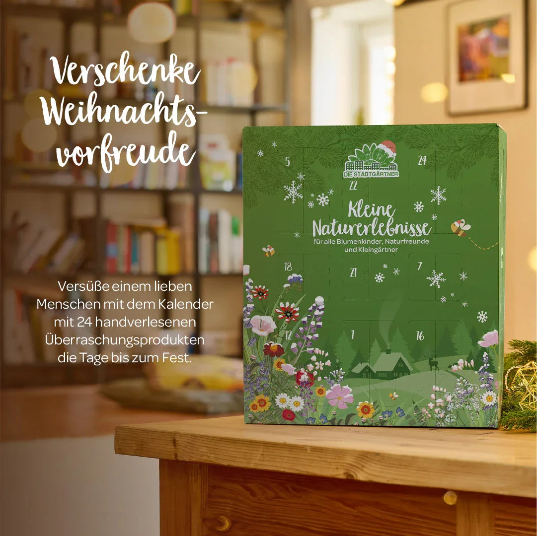 Adventskalender 2025 
