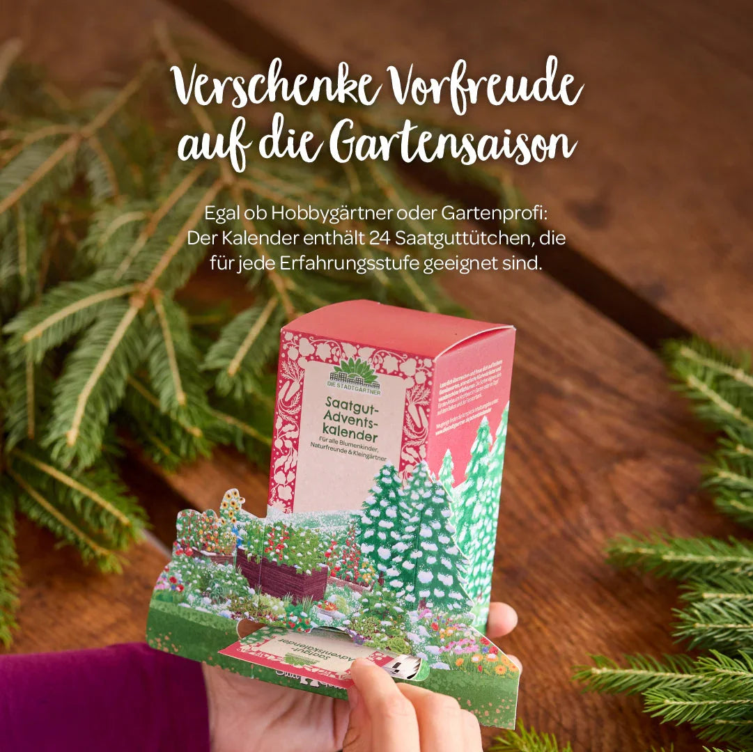 Saatgut-Adventskalender 