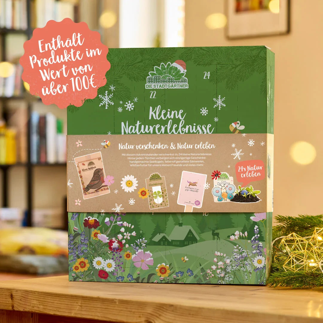 Adventskalender 2025 