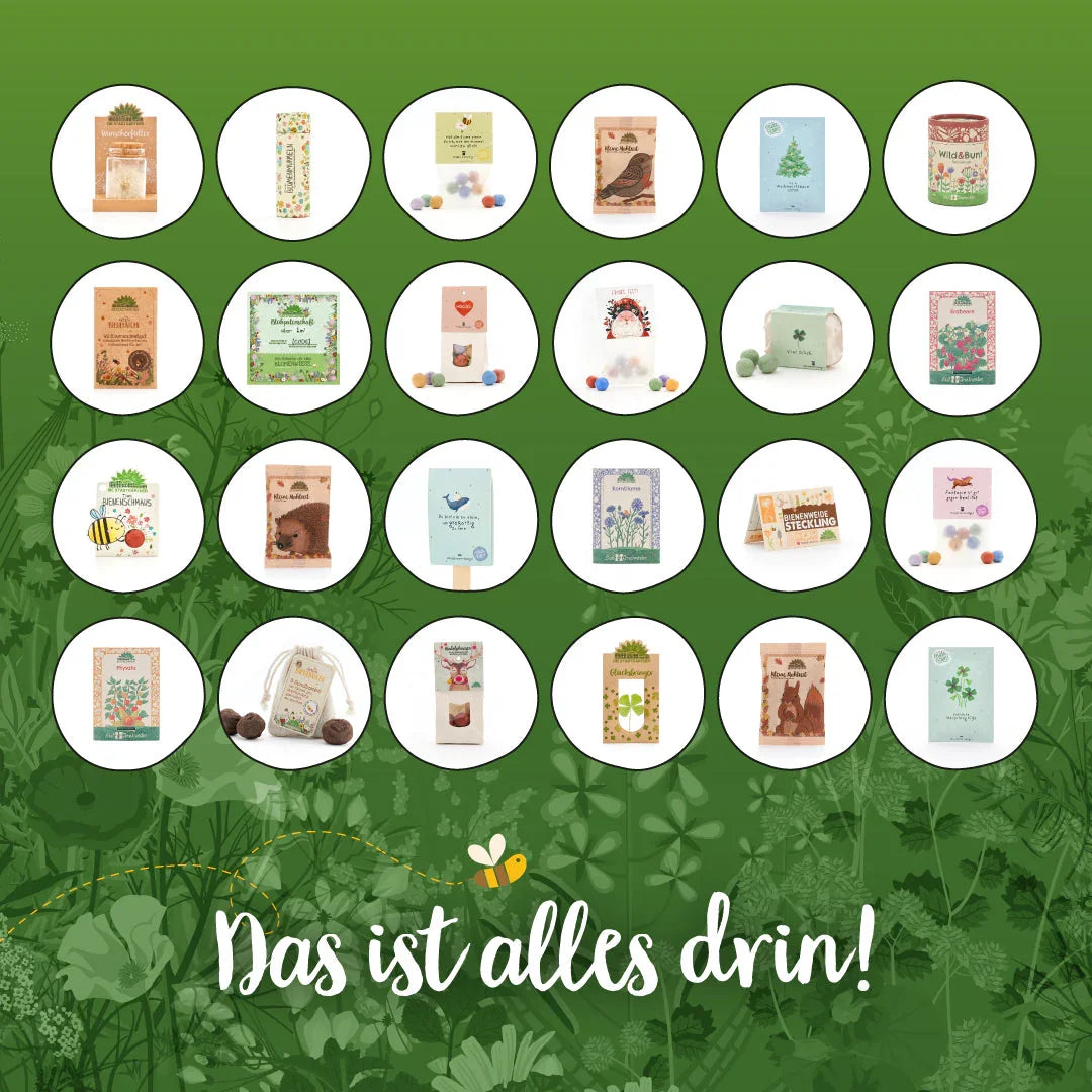 Adventskalender 2025 "Die Stadtgärtner"