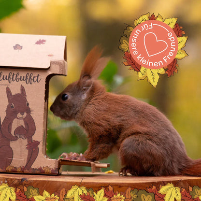 Freiluftbuffet für Eichhörnchen