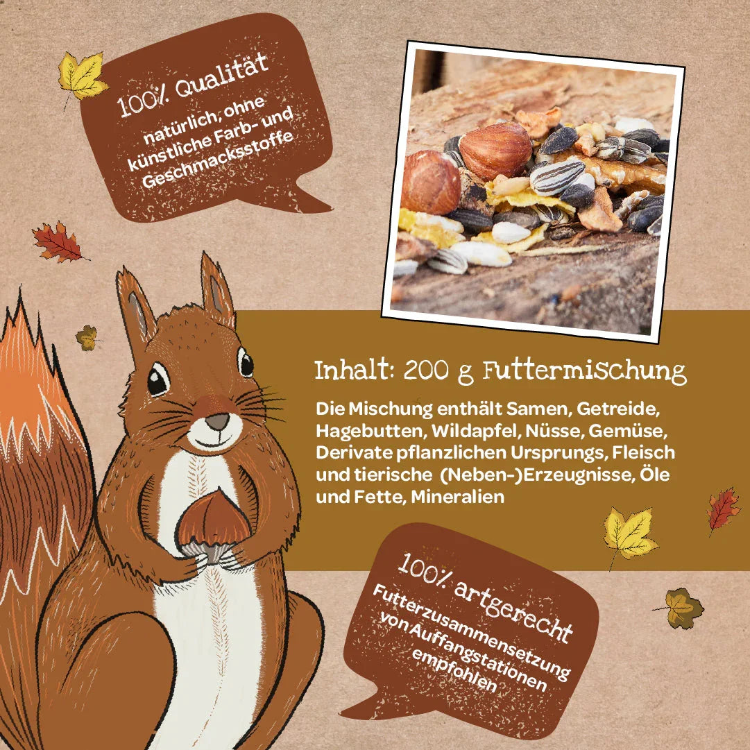 Freiluftbuffet für Eichhörnchen