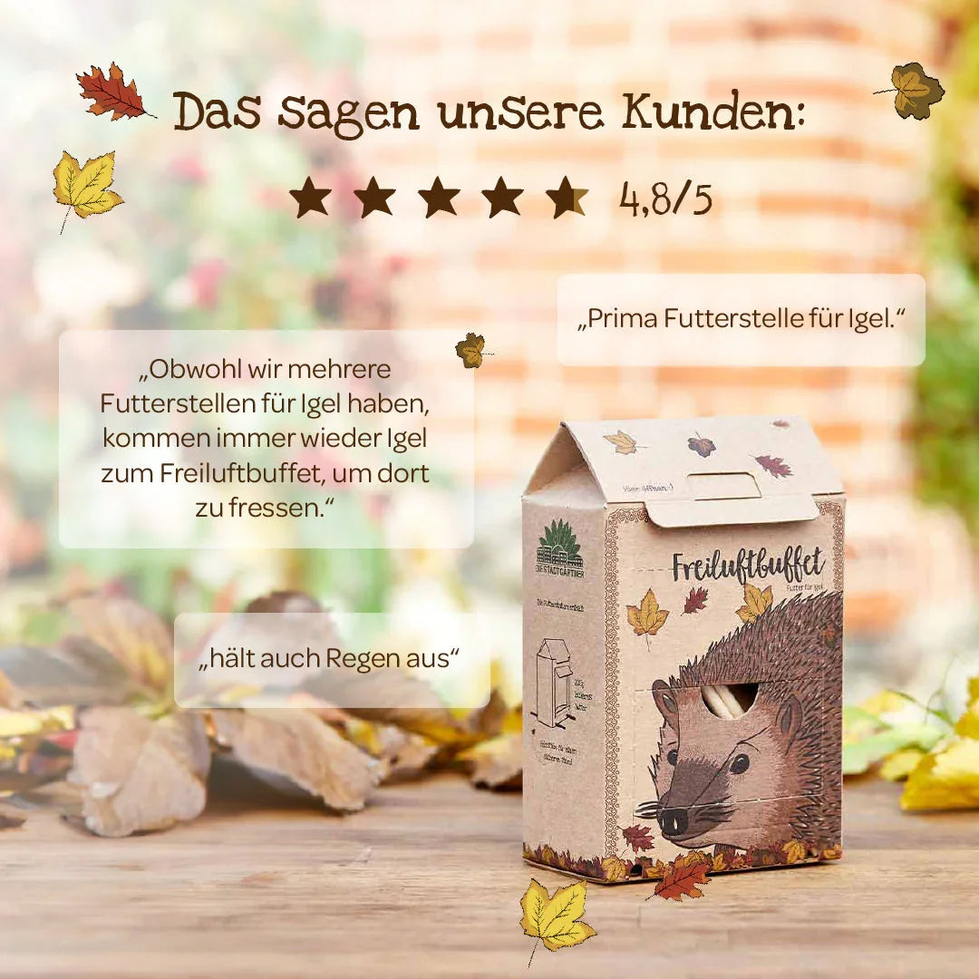 Freiluftbuffet für Igel