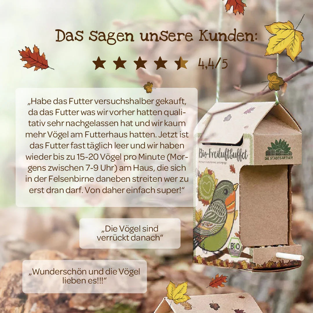 BIO-Freiluftbuffet für Vögel