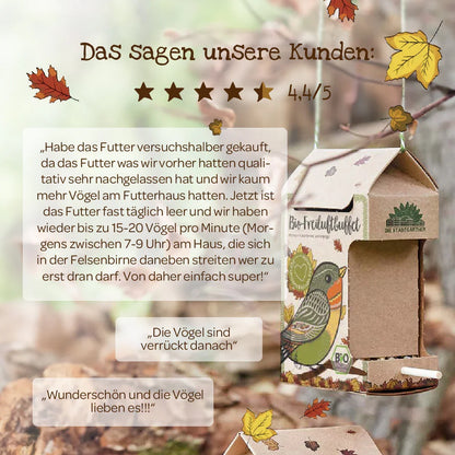 BIO-Freiluftbuffet für Vögel