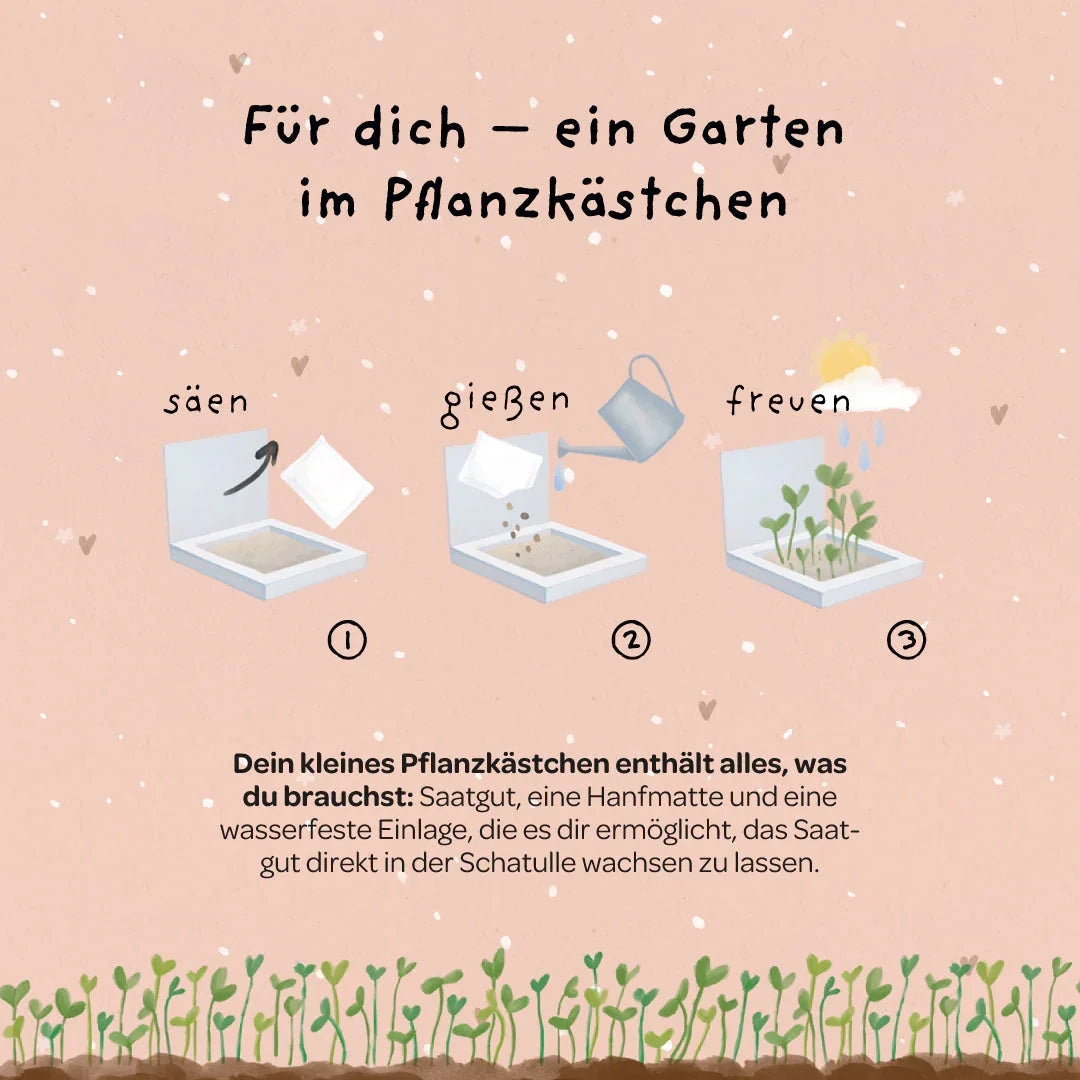 Pflanzkästchen - HDGDL - Hab dich ganz doll lieb