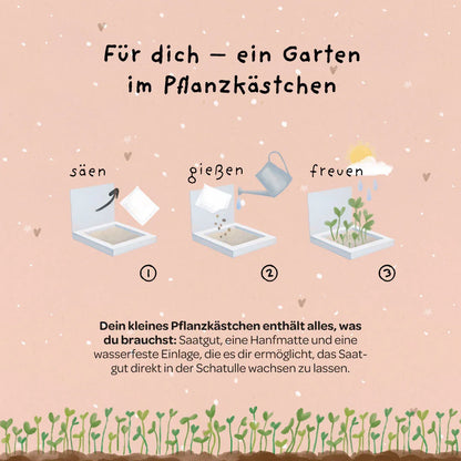 Pflanzkästchen - HDGDL - Hab dich ganz doll lieb