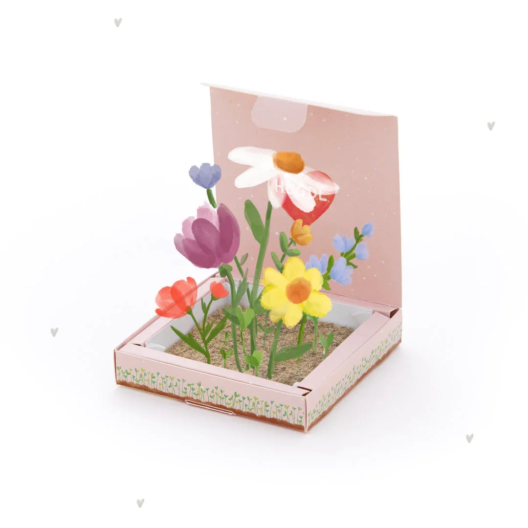 Pflanzkästchen - HDGDL - Hab dich ganz doll lieb