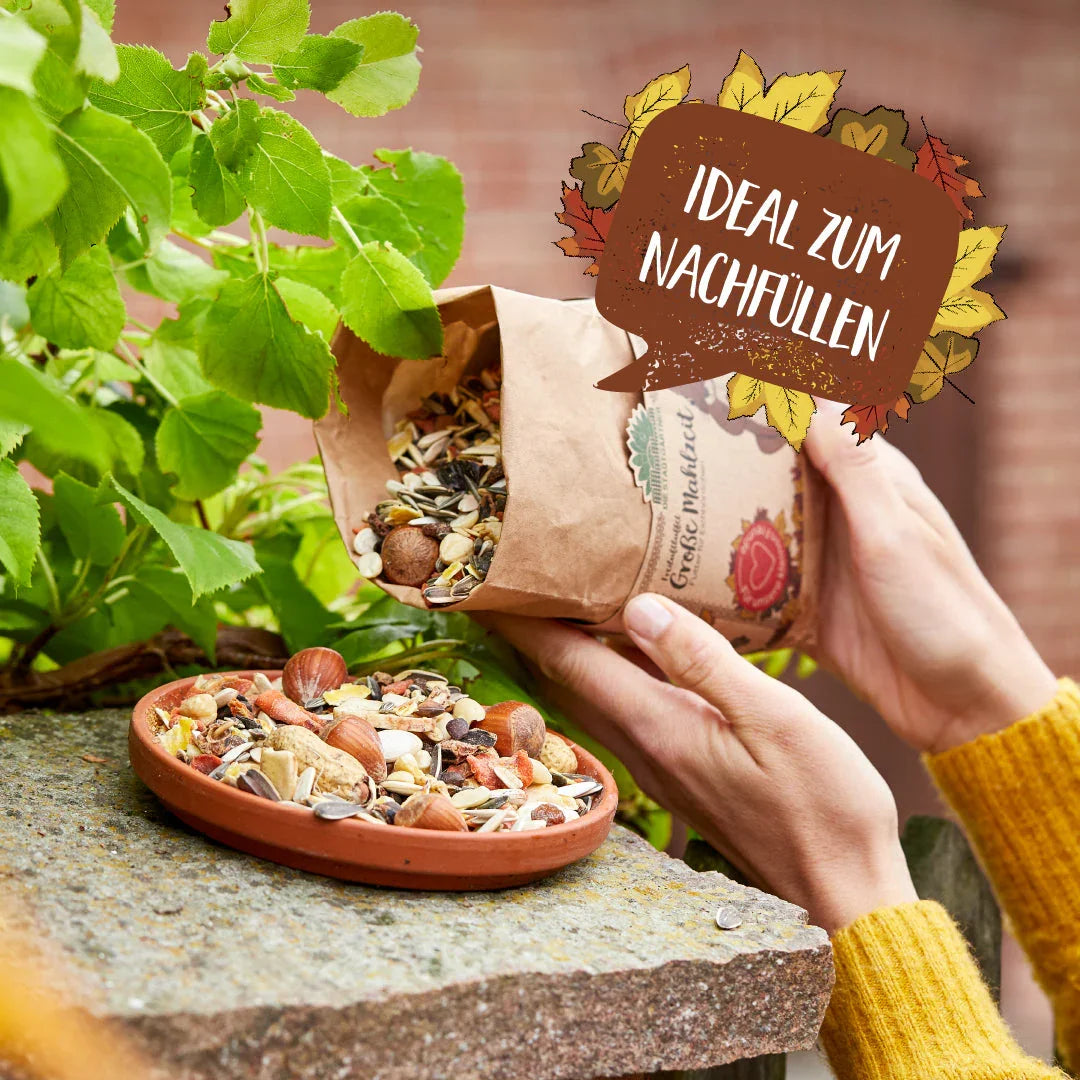 Große Mahlzeit – 1 L Eichhörnchenfutter