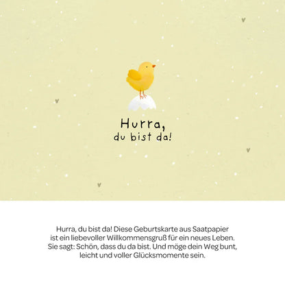 Grußkarte - Hurra, du bist da!