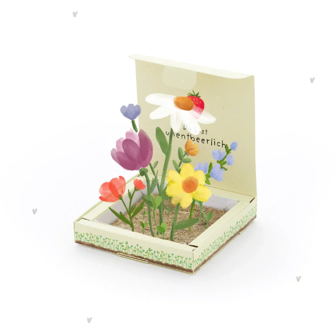 Pflanzkästchen - Unentbeerlich