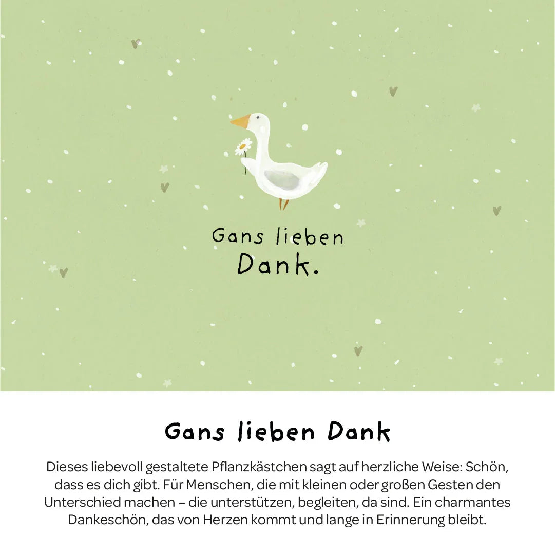 Pflanzkästchen - Gans lieben Dank