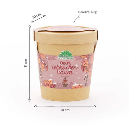 Lebkuchenbaum aus dem Becher