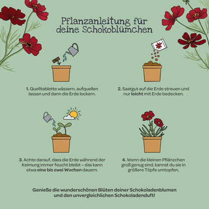 Schokoblumen aus dem Becher