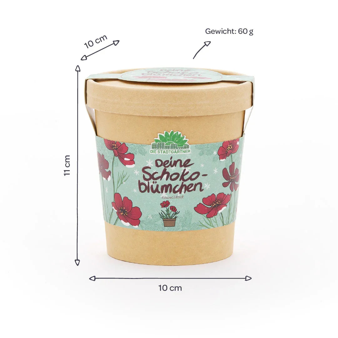 Schokoblumen aus dem Becher