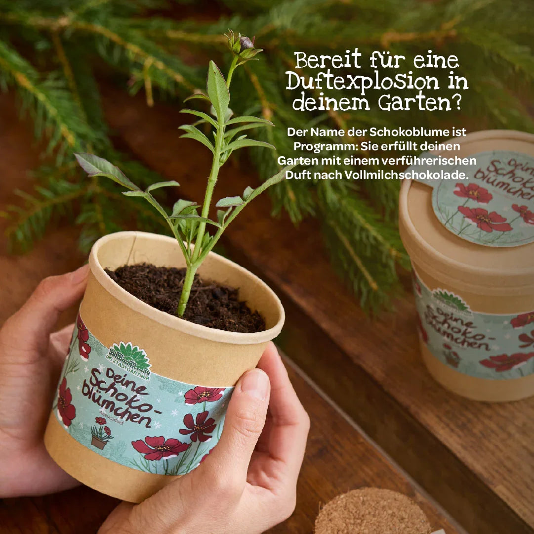 Schokoblumen aus dem Becher