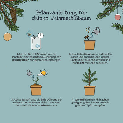 Weihnachtsbaum 2030 aus dem Becher