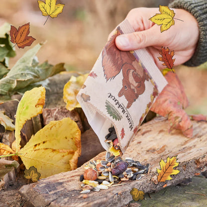 Kleine Mahlzeit – Eichhörnchenfutter