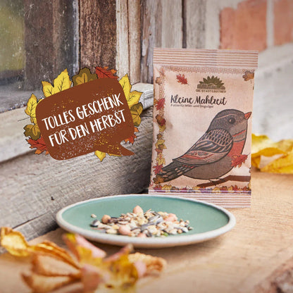 Kleine Mahlzeit – Vogelfutter