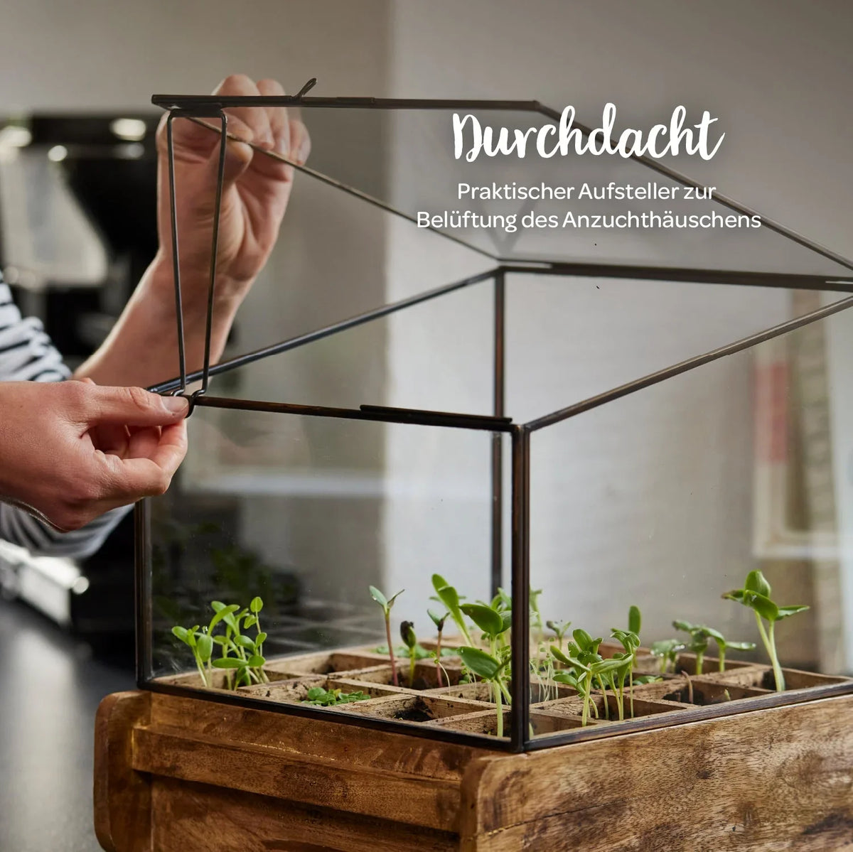 Hochwertiges Anzuchthaus mit 16 Fächern