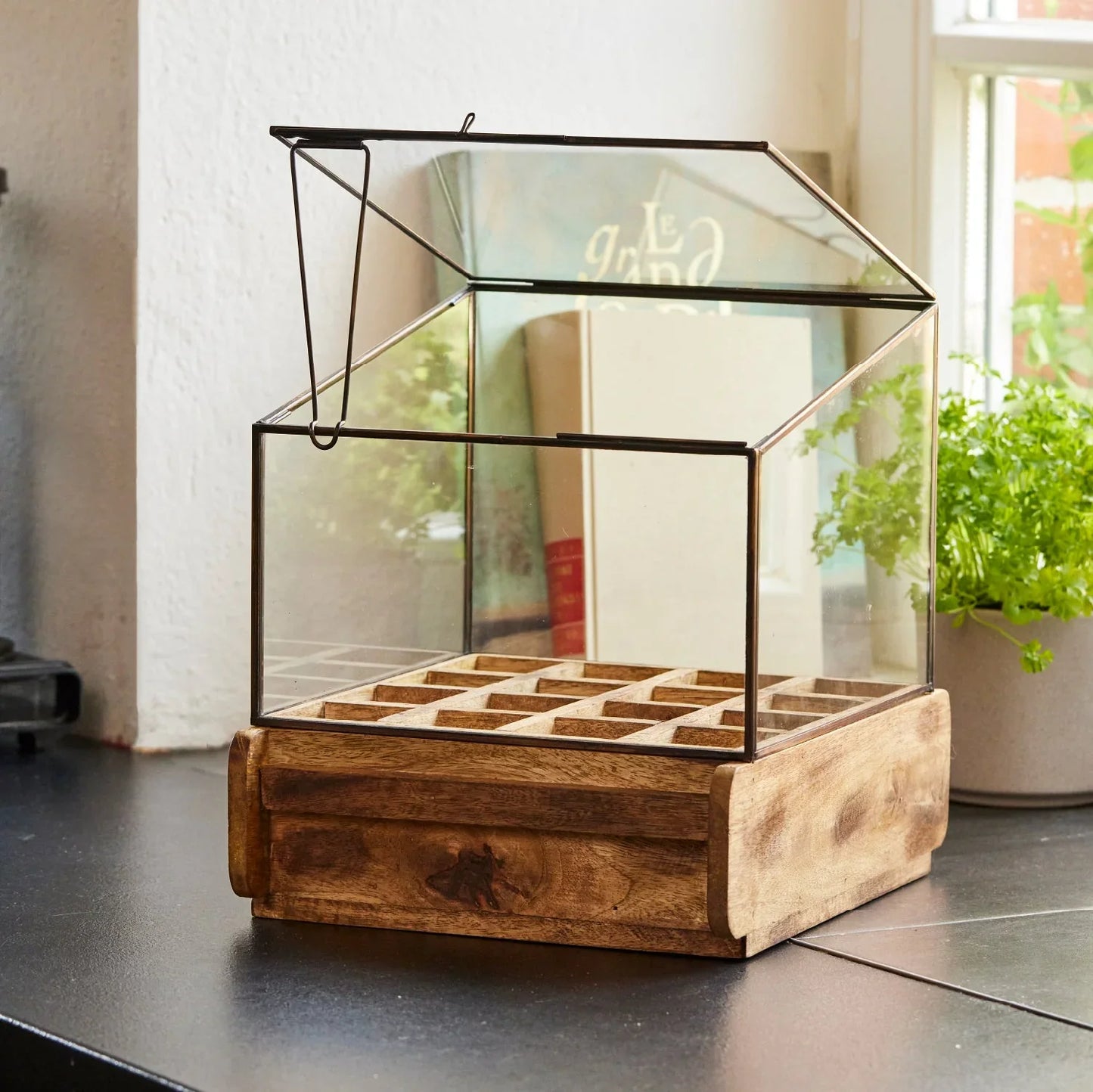 Hochwertiges Anzuchthaus mit 16 Fächern