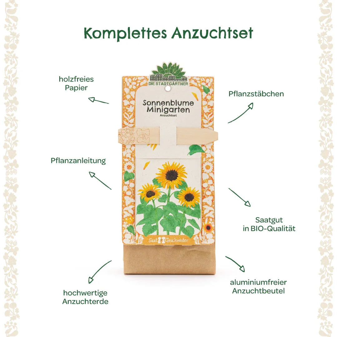 Anzuchtset – Minigarten BIO-Sonnenblume