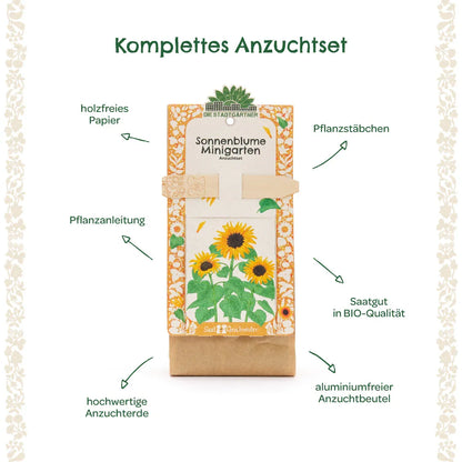 Anzuchtset – Minigarten BIO-Sonnenblume