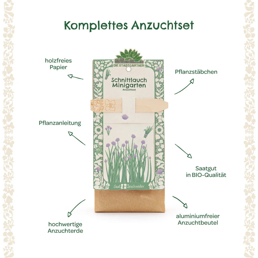 Anzuchtset – Minigarten BIO-Schnittlauch