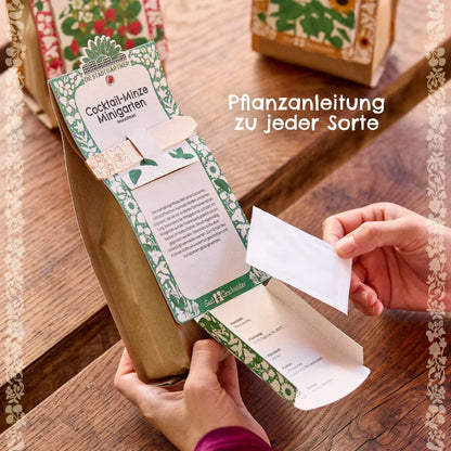 Anzuchtset – Minigarten BIO-Kapuzinerkresse