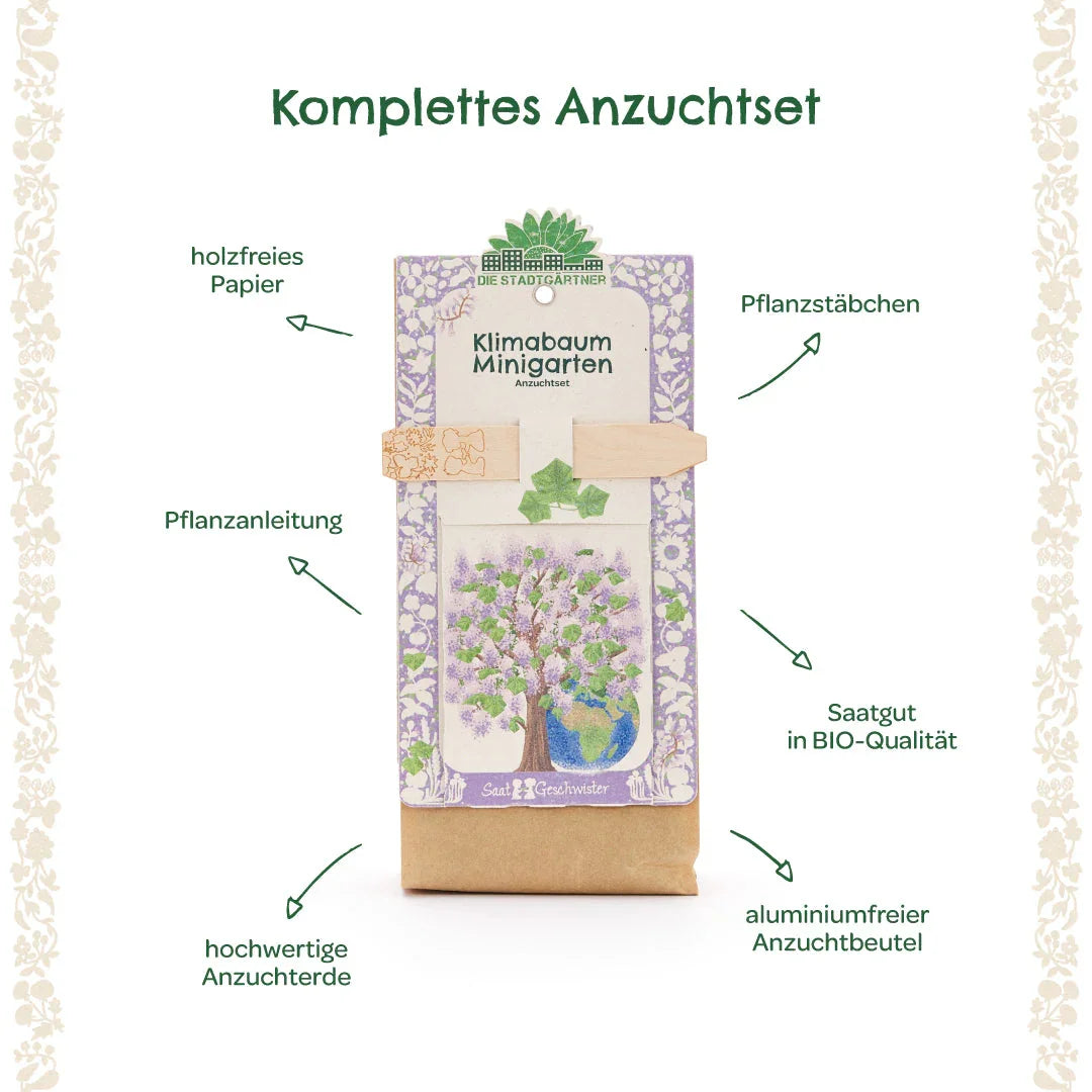 Anzuchtset – Minigarten Klimabaum