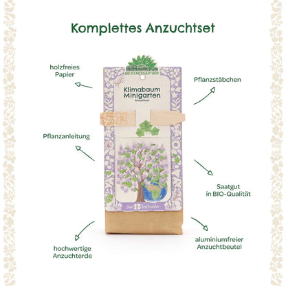 Anzuchtset – Minigarten Klimabaum
