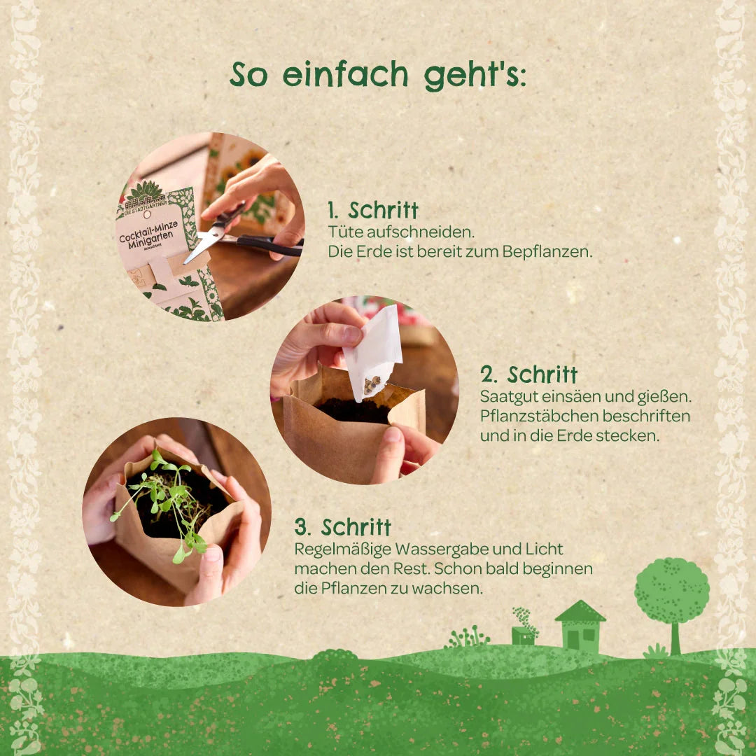 Anzuchtset – Minigarten Erdnuss